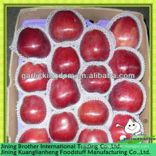 China Gansu manzana huaniu